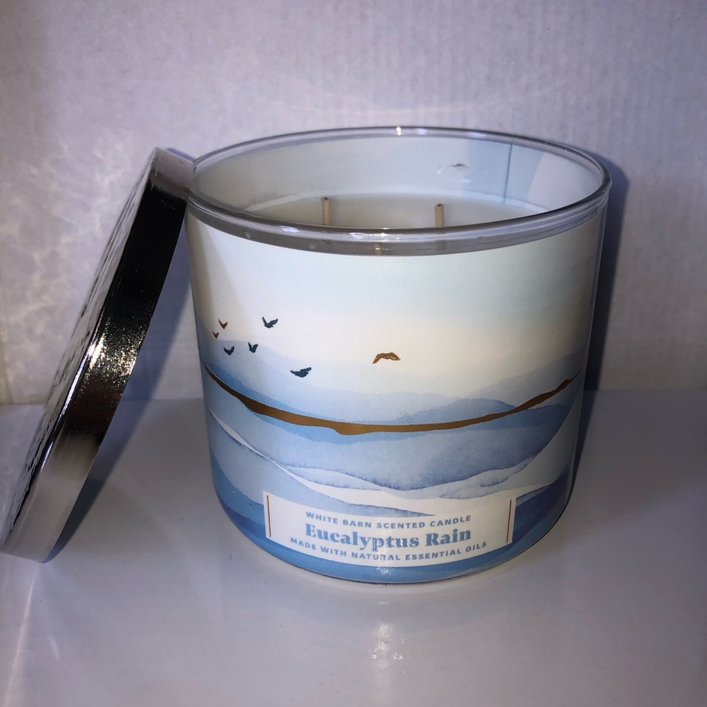 Bath and Body Works “Eucalyptus Rain”